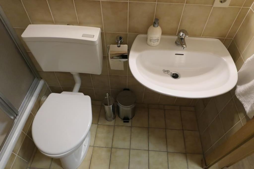 באייריש אייסנשטיין Modern Flat Near Grosser Arber מראה חיצוני תמונה
