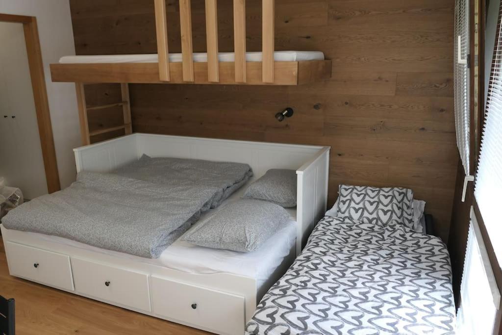 באייריש אייסנשטיין Modern Flat Near Grosser Arber מראה חיצוני תמונה